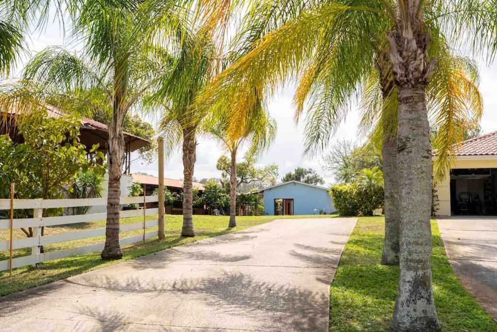 Tampa Bay Oasis Apartment Tarpon Springs Luaran gambar