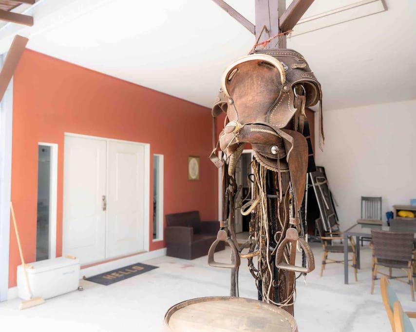 Tampa Bay Oasis Apartment Tarpon Springs Luaran gambar