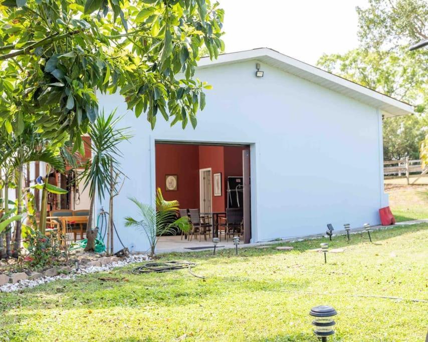 Tampa Bay Oasis Apartment Tarpon Springs Luaran gambar