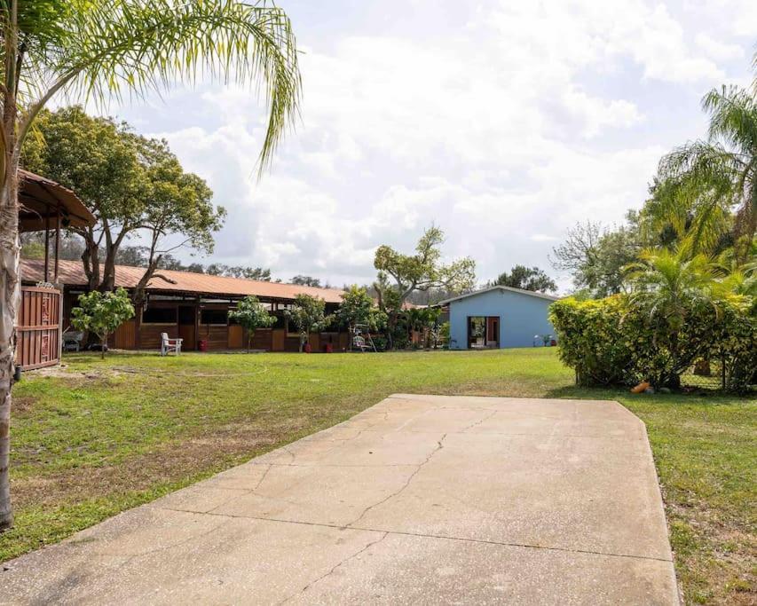 Tampa Bay Oasis Apartment Tarpon Springs Luaran gambar